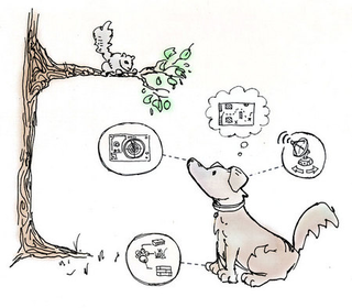 Illustration for article titled In Memory Of My Dog Virginia